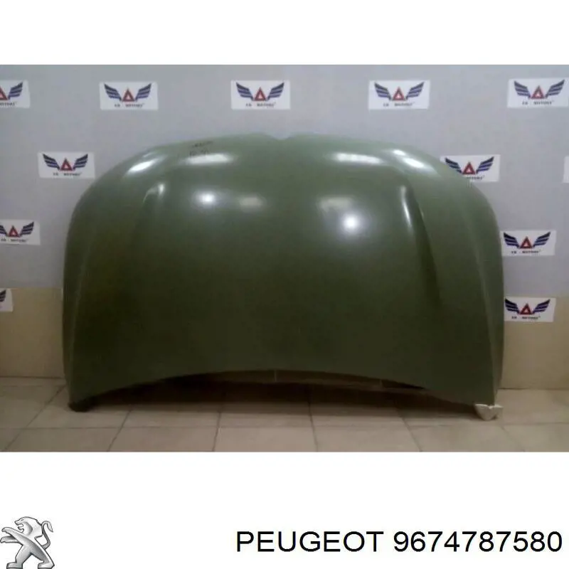 Capota Peugeot/Citroen 9674787580 preço, a partir de 356,12 USD