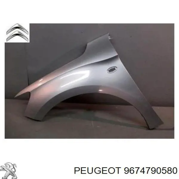 9674790580 Peugeot/Citroen Pára-lama dianteiro esquerdo