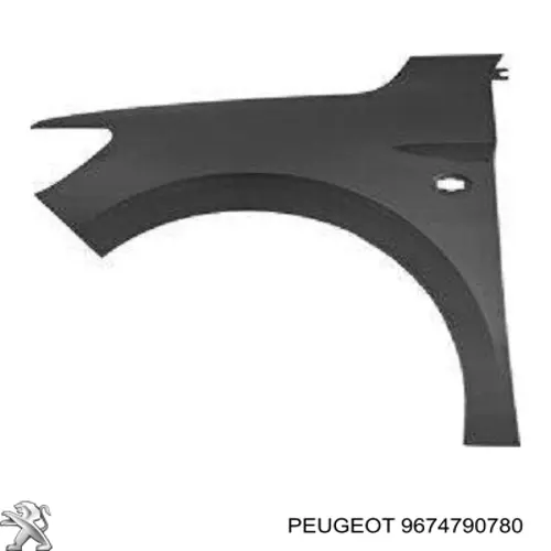 9674790780 Peugeot/Citroen Pára-lama dianteiro esquerdo