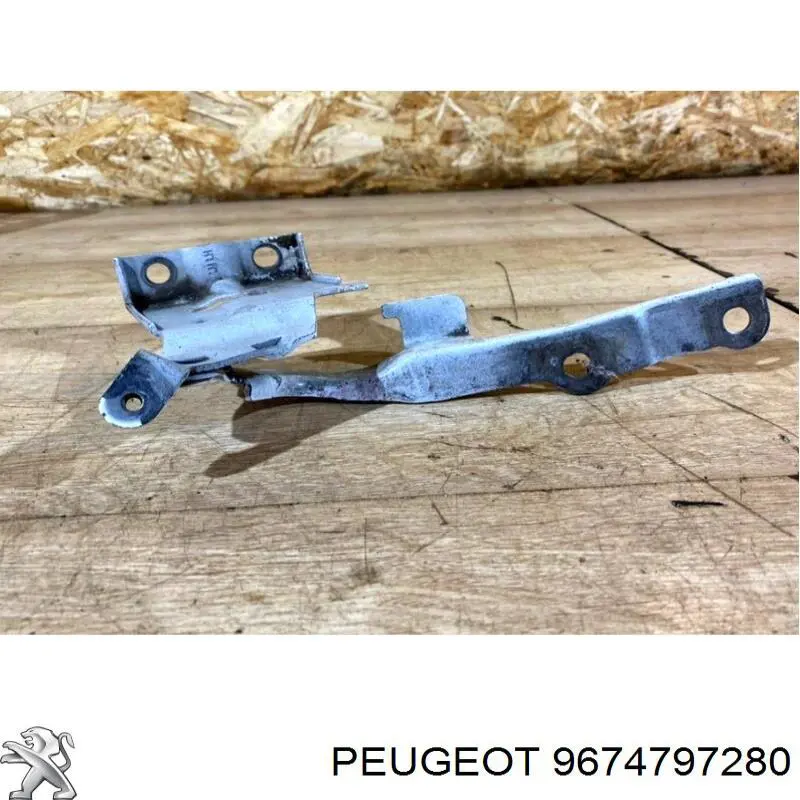 Gozno da capota esquerdo Peugeot/Citroen 9674797280 preço, a partir de 13,25 USD