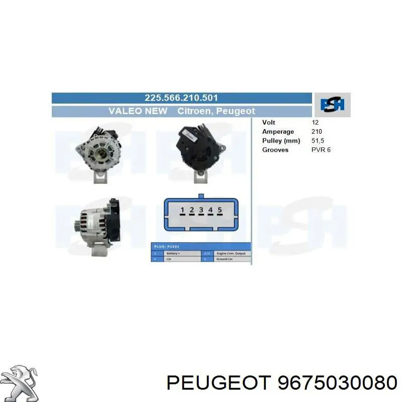 9675030080 Peugeot/Citroen Gerador