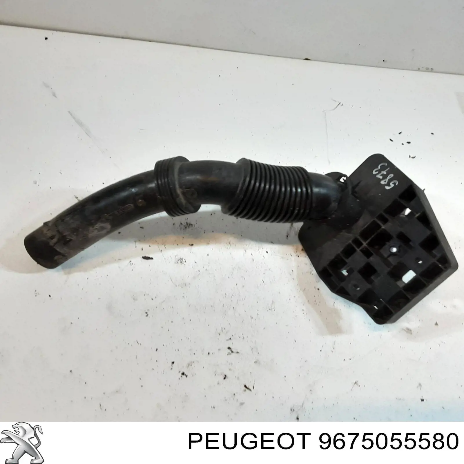  9675055580 Peugeot/Citroen