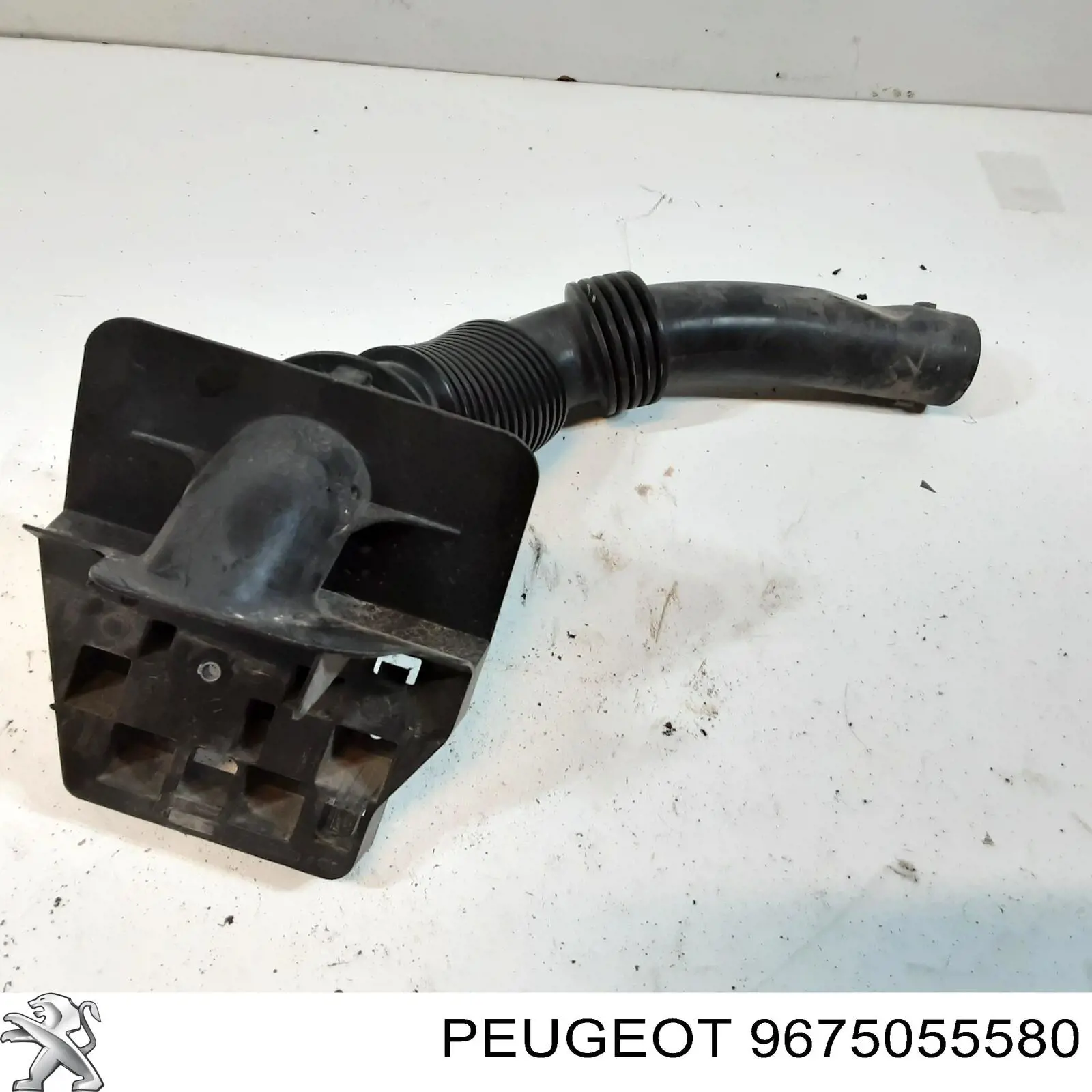 9675055580 Peugeot/Citroen 