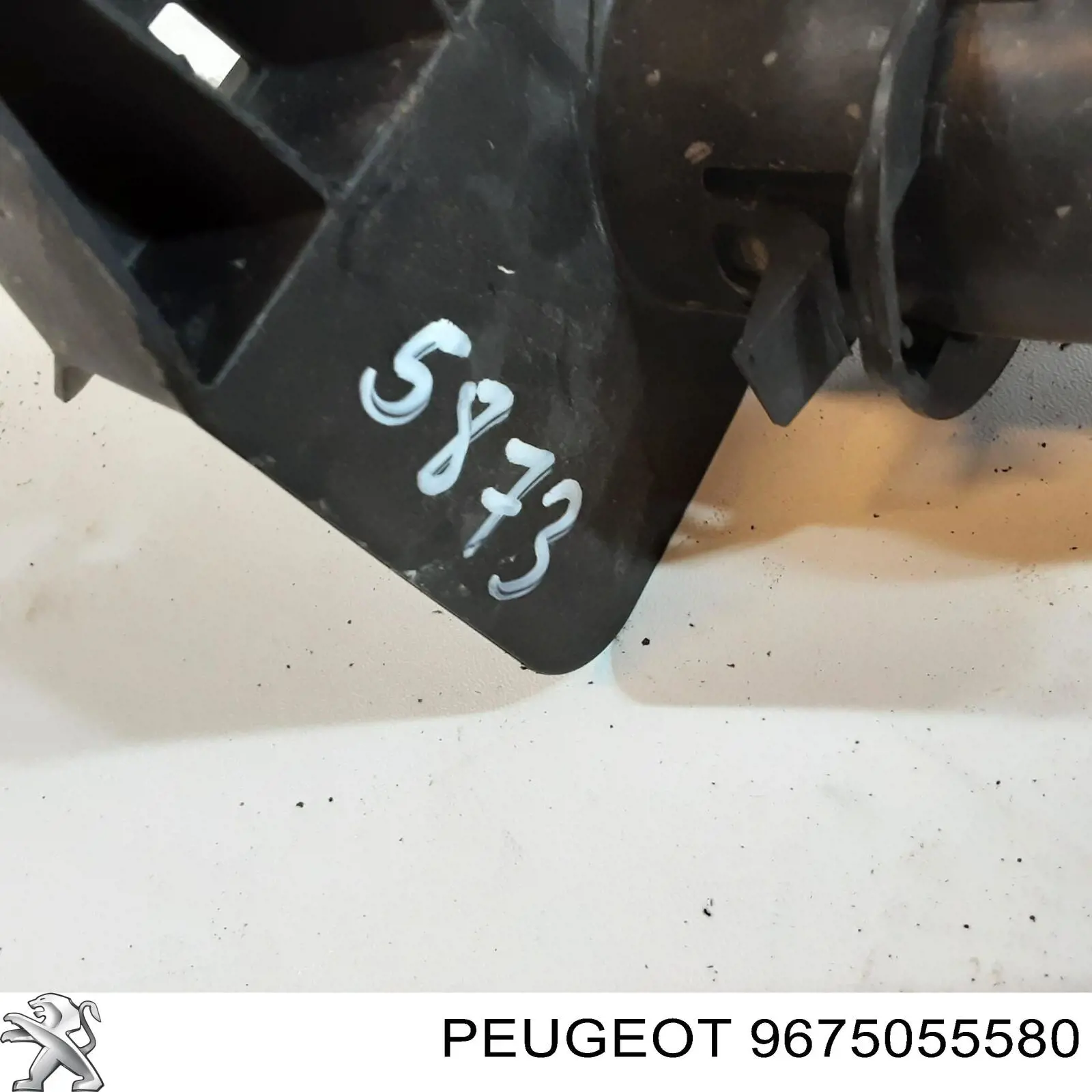 Compre 9675055580 Peugeot/Citroen 