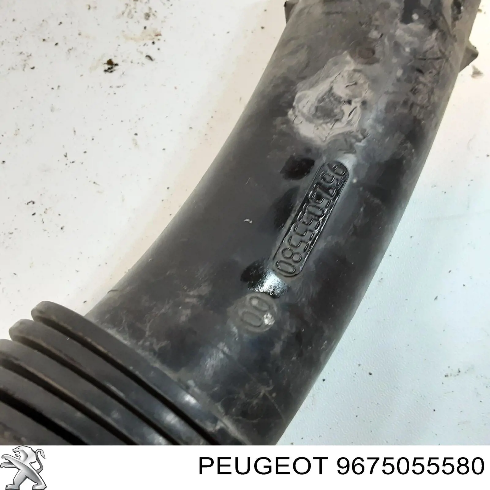  Peugeot/Citroen 9675055580