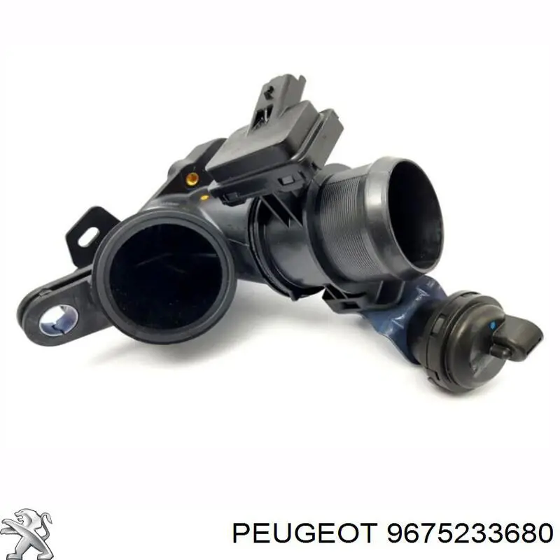 9675233680 Peugeot/Citroen 