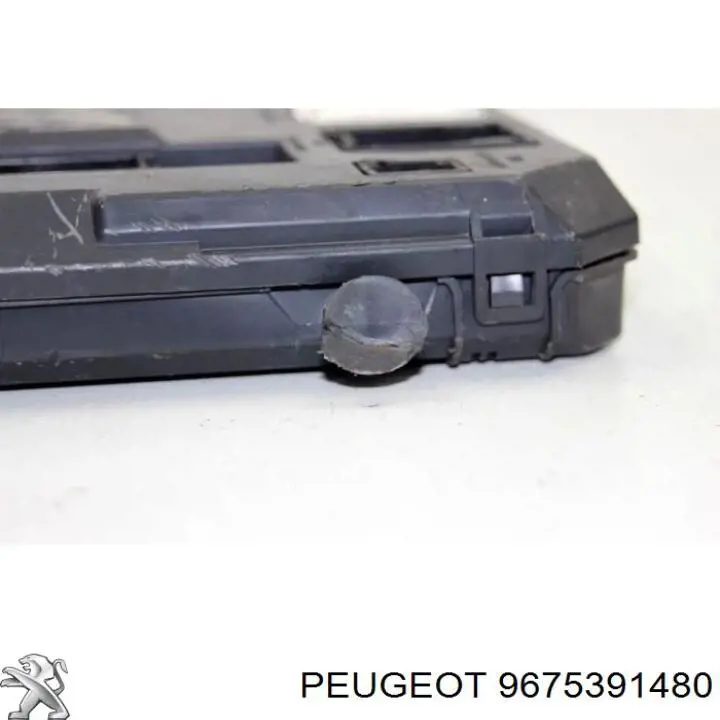 Compre 9675391480 Peugeot/Citroen 