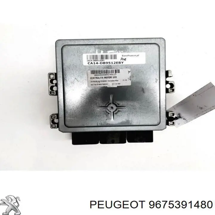 9675391480 Peugeot/Citroen 