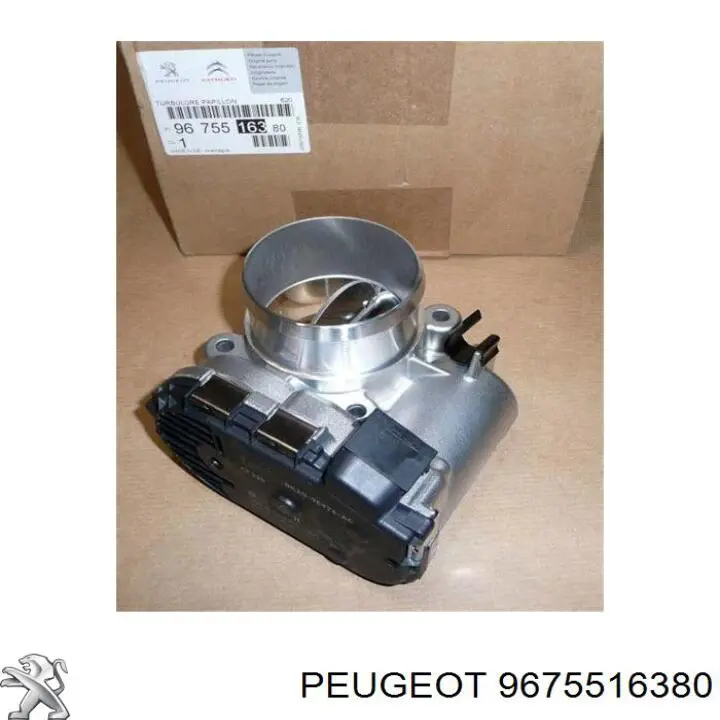 9675516380 Peugeot/Citroen Válvula de borboleta montada