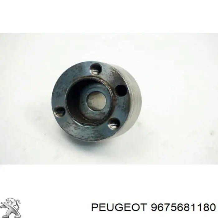  Peugeot/Citroen 9675681180 preço, a partir de  