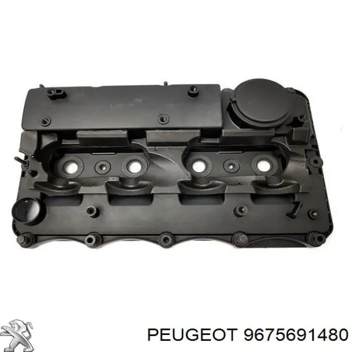 9675691480 Peugeot/Citroen Tampa de válvulas