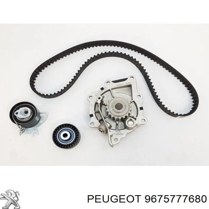 Compre 9675777680 Peugeot/Citroen Reguladora de tensão da cadeia do mecanismo de distribuição de gás