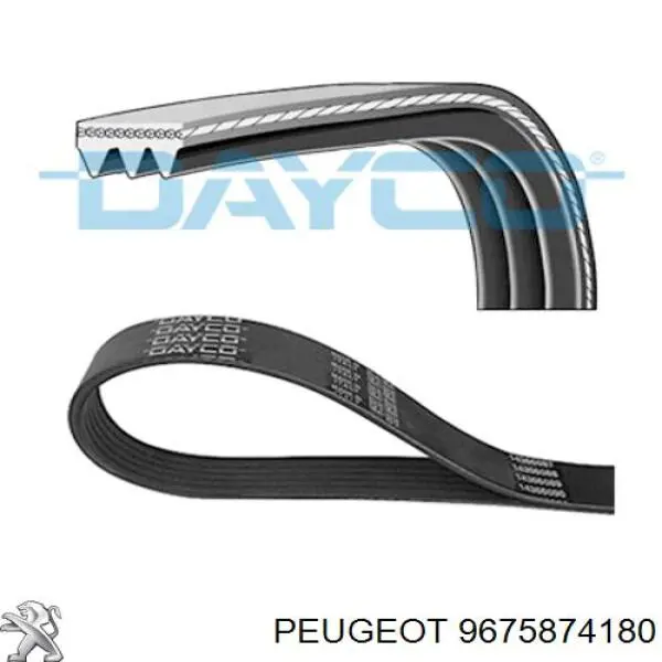 Compre 1654511580 Peugeot/Citroen Correia dos conjuntos de transmissão