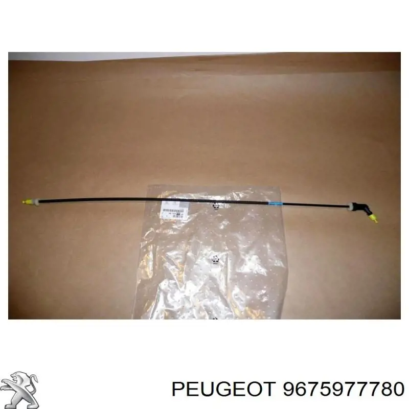 9675977780 Peugeot/Citroen 
