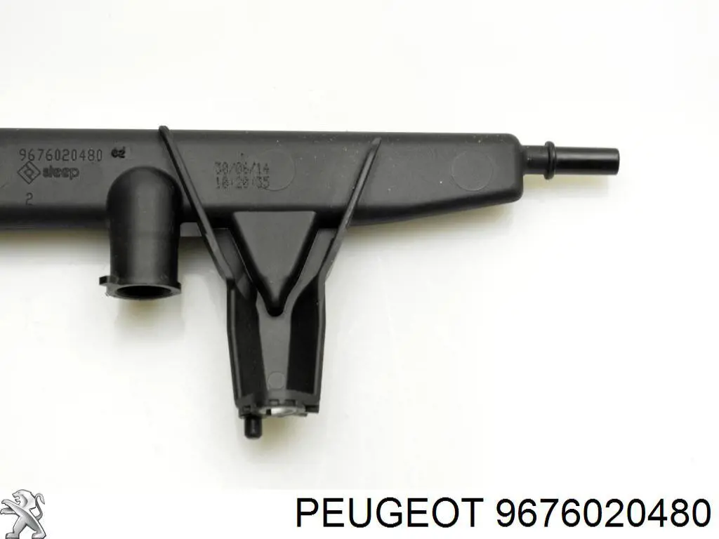 9676020480 Peugeot/Citroen Distribuidor de combustível (rampa)