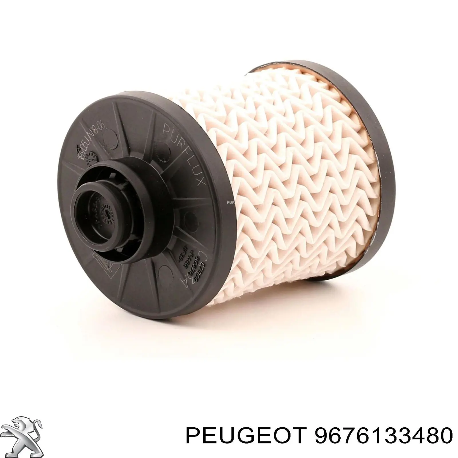 9676133480 Peugeot/Citroen Caixa de filtro de combustível