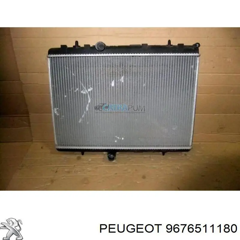 9676511180 Peugeot/Citroen 
