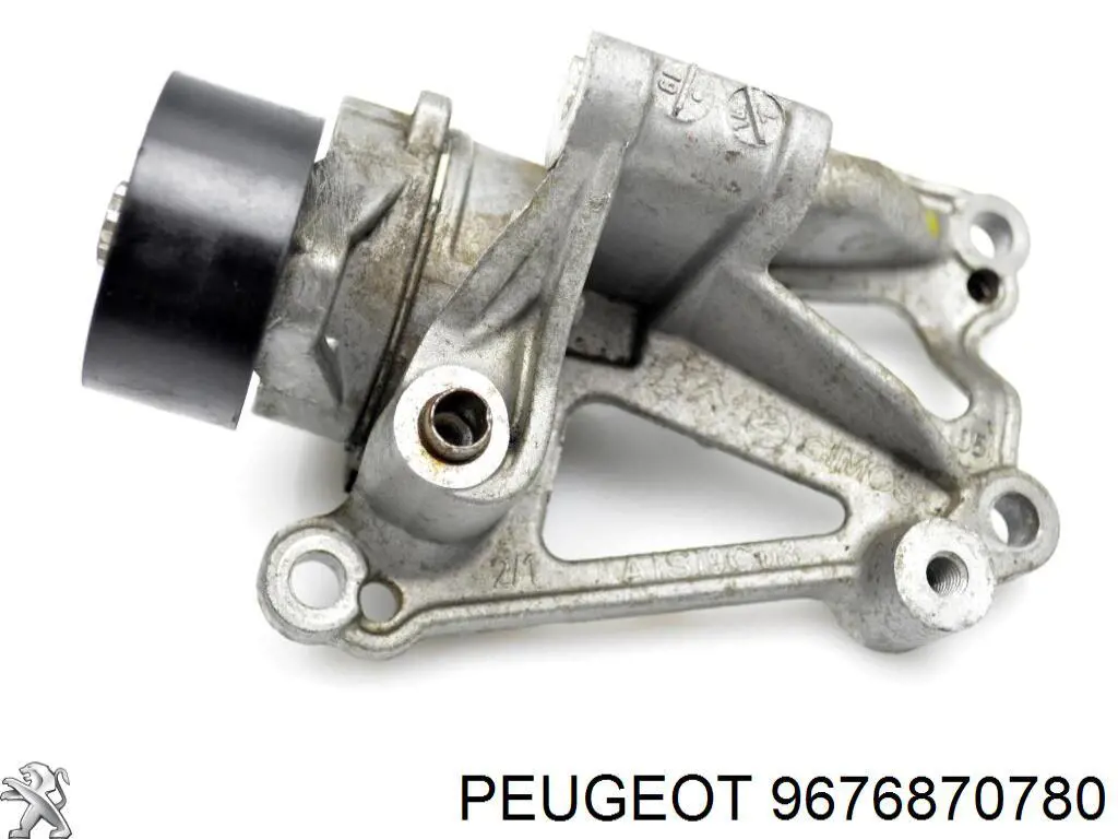 9676870780 Peugeot/Citroen 