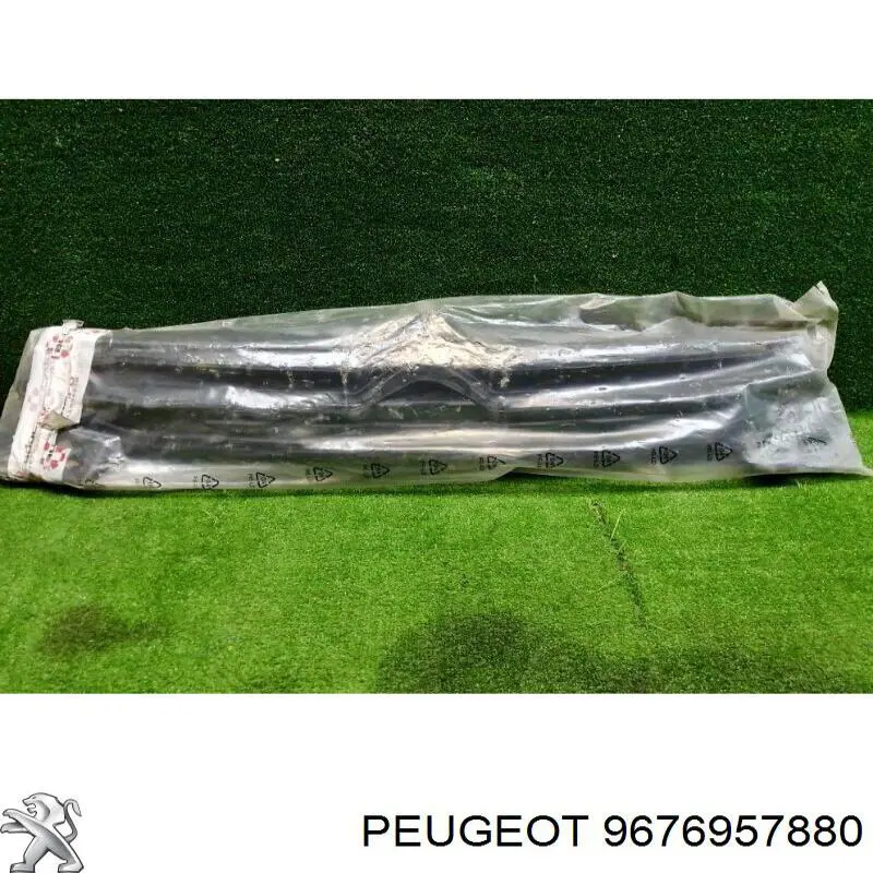 Grelha do radiador Peugeot/Citroen 9676957880 preço, a partir de 116,80 USD
