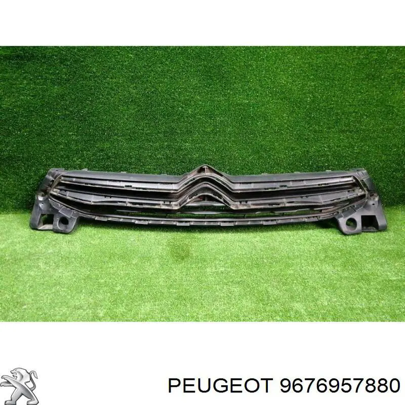 9676957880 Peugeot/Citroen Grelha do radiador