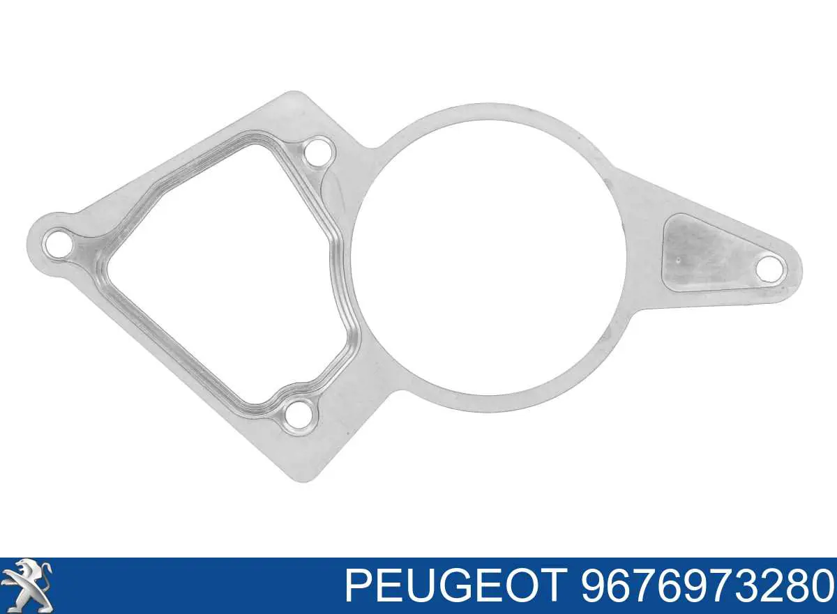 9676973280 Peugeot/Citroen Vedante de bomba de vácuo