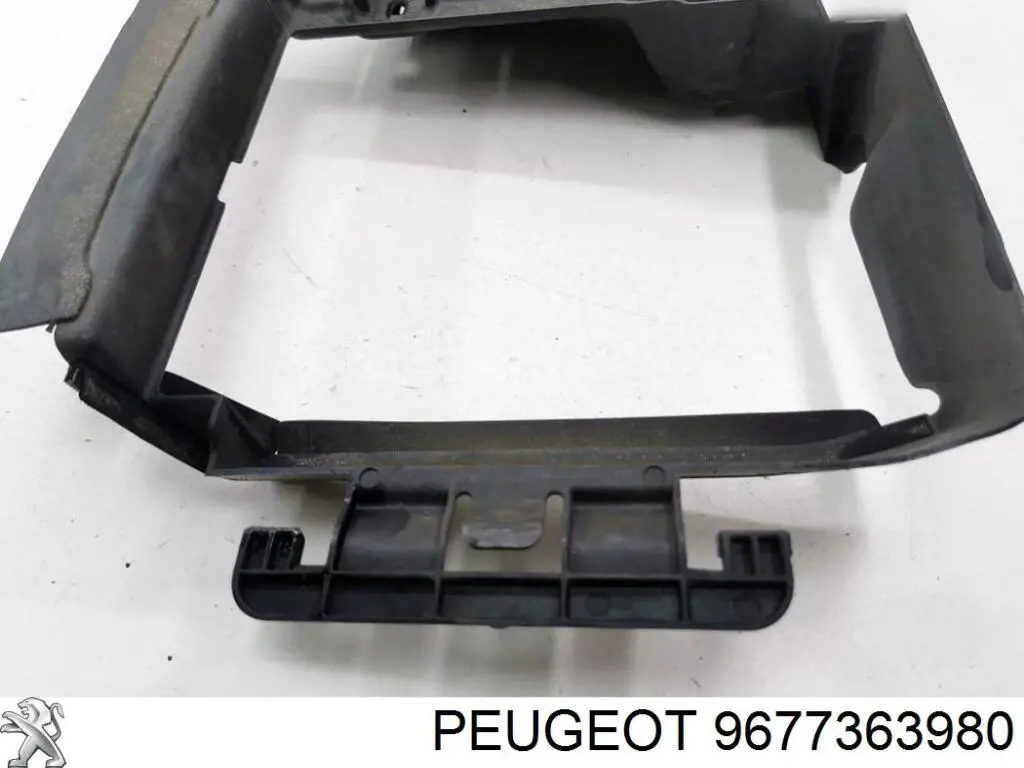  9677363980 Peugeot/Citroen
