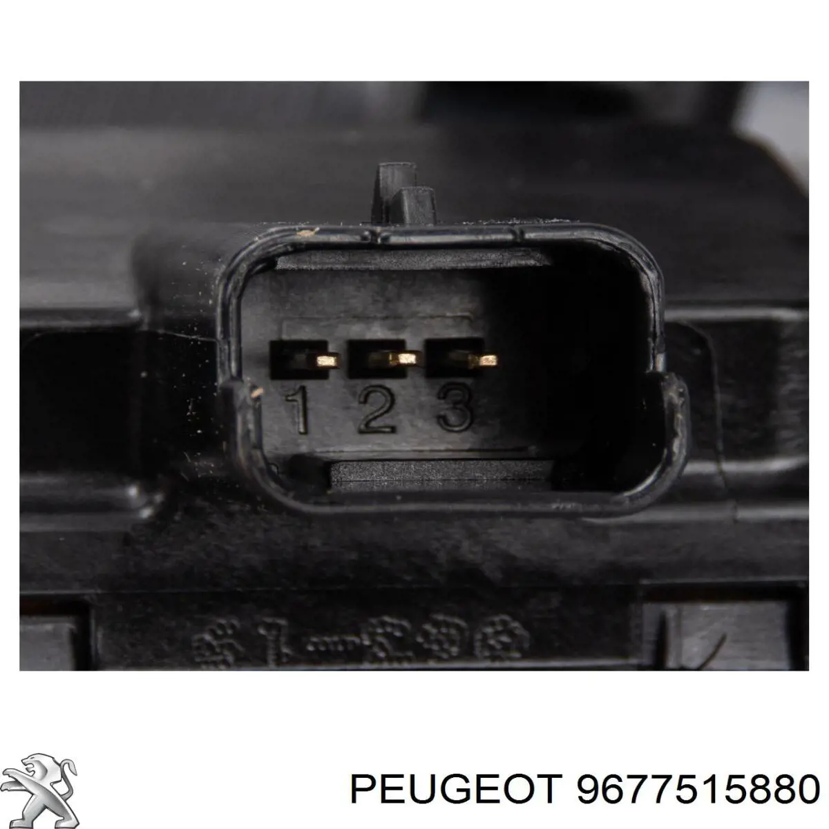 9677515880 Peugeot/Citroen Válvula de borboleta montada