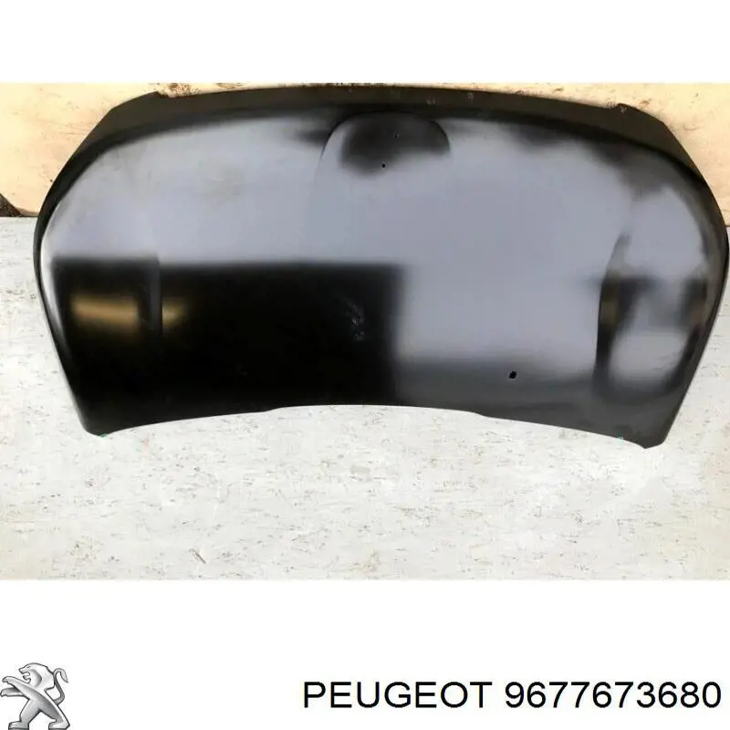 9677673680 Peugeot/Citroen Capota
