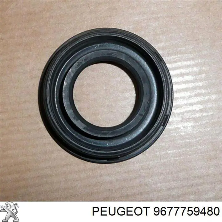 Vedante anular da cavidade de vela Peugeot/Citroen 9677759480 preço, a partir de 13,76 USD