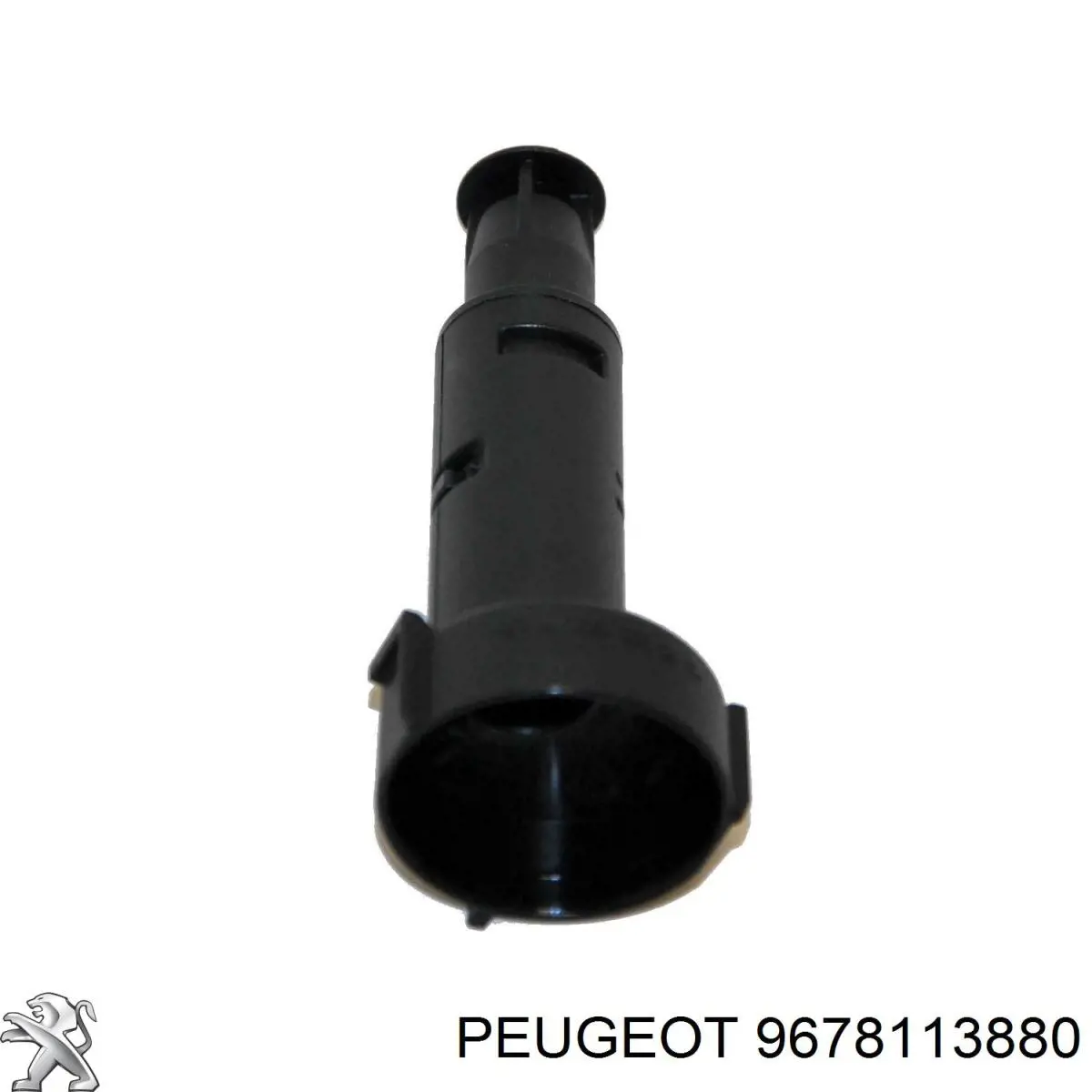 9678113880 Peugeot/Citroen 