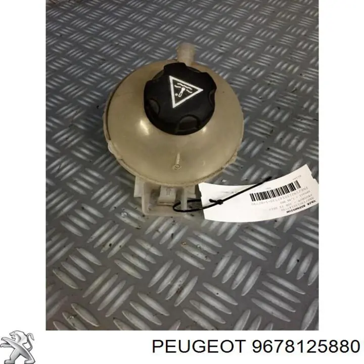 Compre 9678125880 Peugeot/Citroen Tanque de expansão do sistema de esfriamento