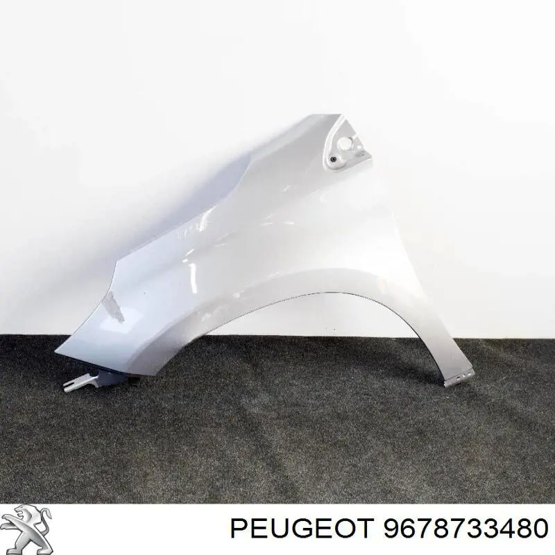Pára-lama dianteiro esquerdo 9678733480 Peugeot/Citroen