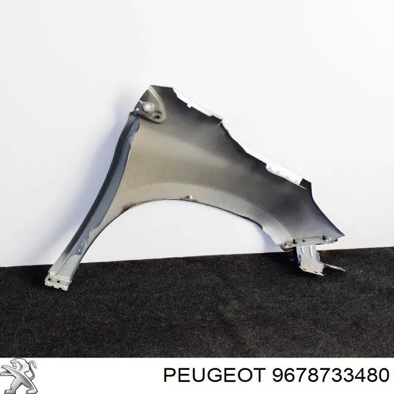 Compre 9678733480 Peugeot/Citroen Pára-lama dianteiro esquerdo