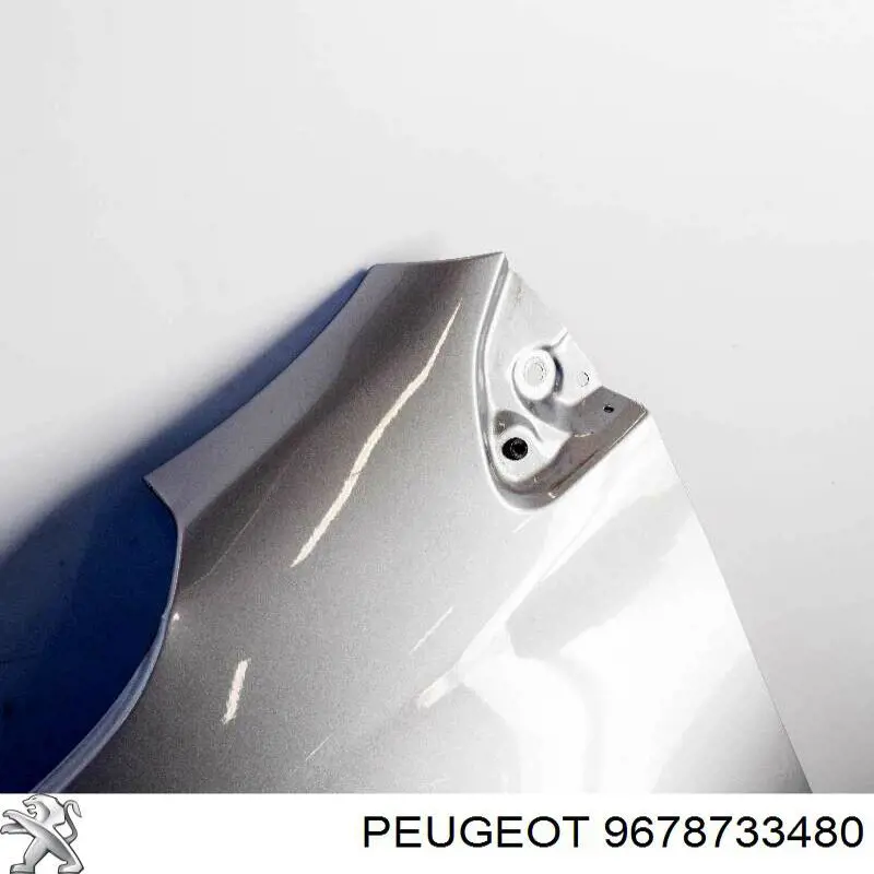 9678733480 Peugeot/Citroen Pára-lama dianteiro esquerdo
