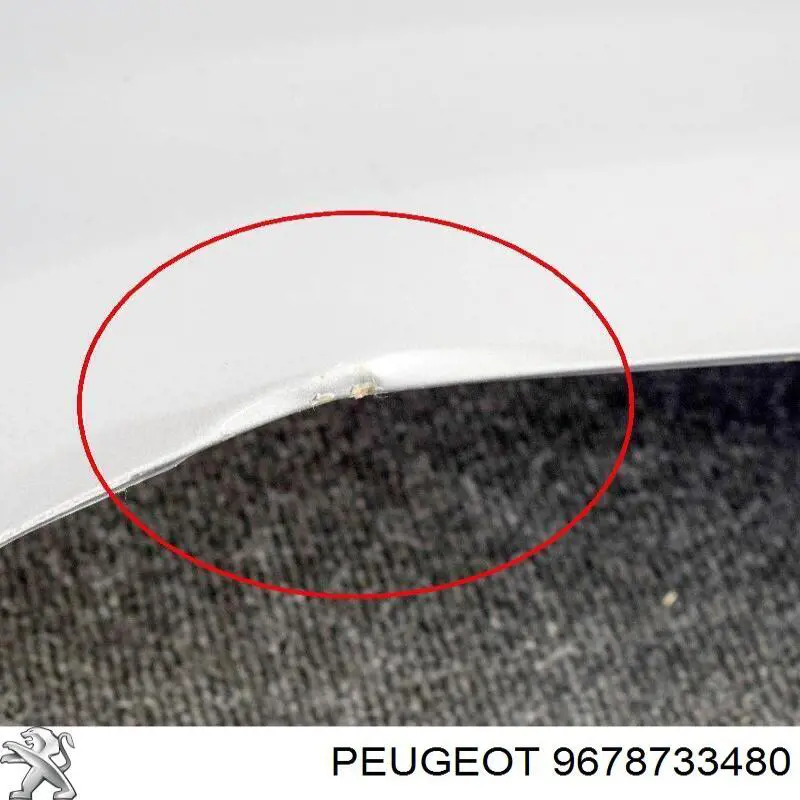 Pára-lama dianteiro esquerdo 9678733480 Peugeot/Citroen