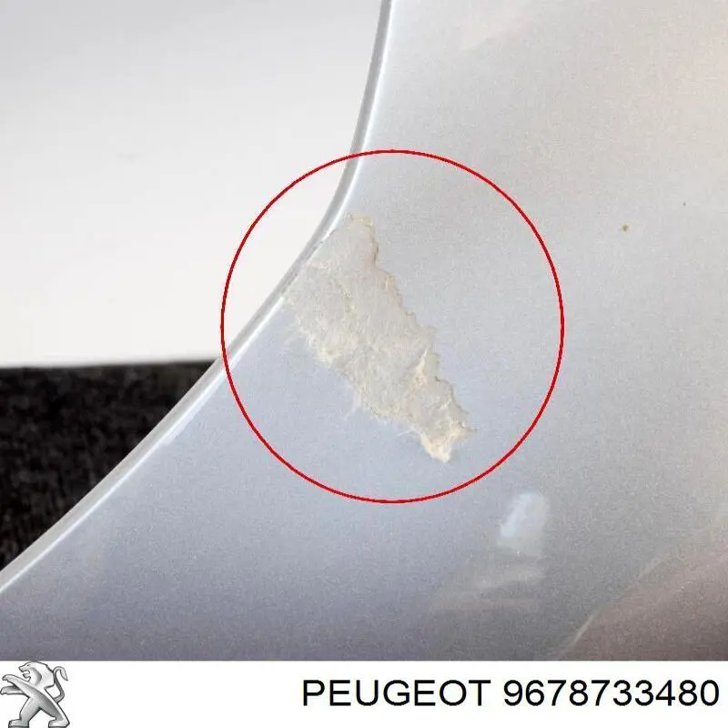 Pára-lama dianteiro esquerdo Peugeot/Citroen 9678733480 preço, a partir de 108,74 USD