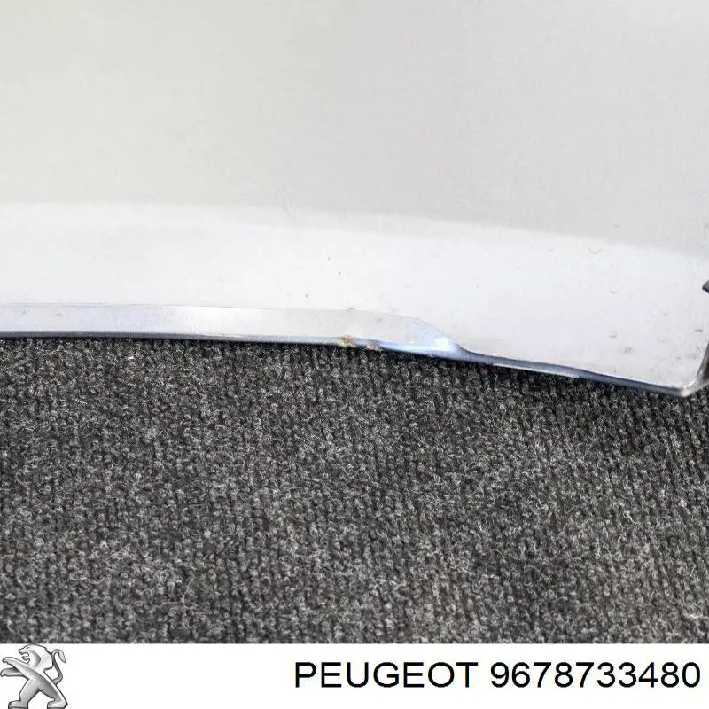 9678733480 Peugeot/Citroen Pára-lama dianteiro esquerdo