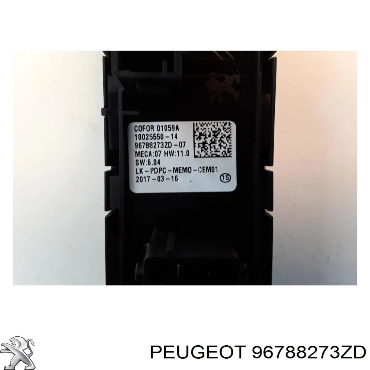 96788273ZD Peugeot/Citroen 