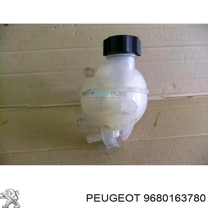  9680163780 Peugeot/Citroen