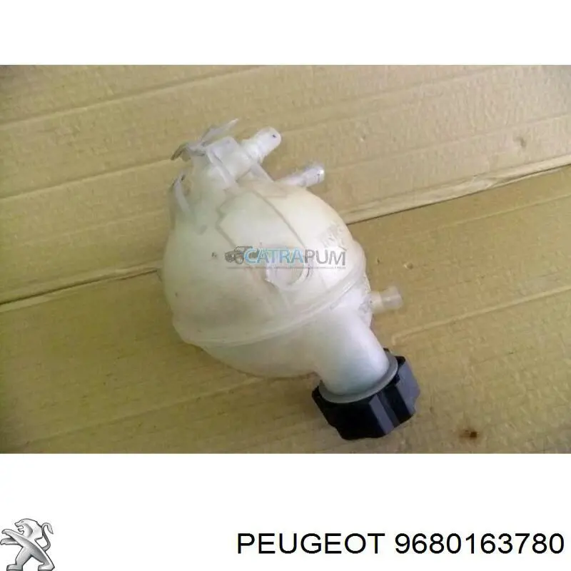 9680163780 Peugeot/Citroen 