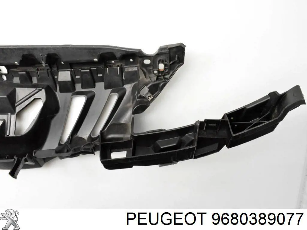 9680389077 Peugeot/Citroen 