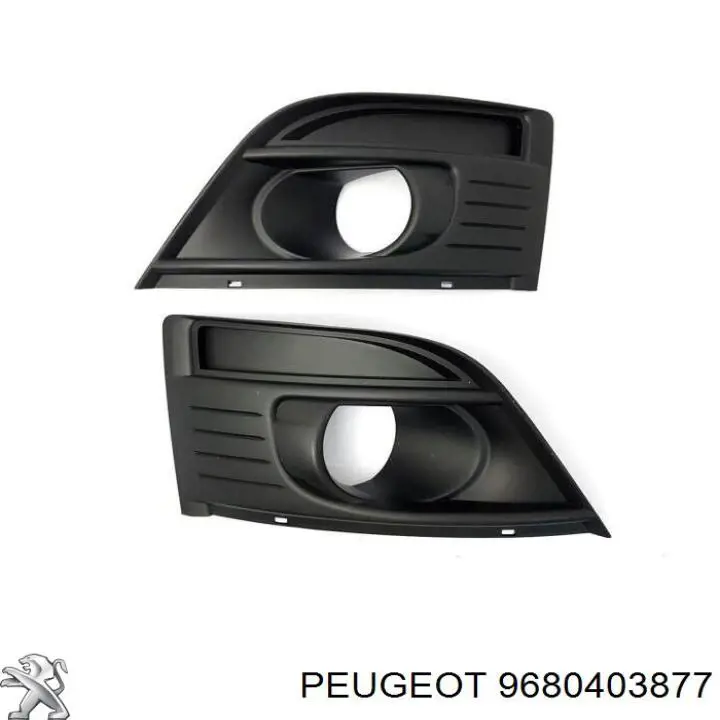 9680403877 Peugeot/Citroen 