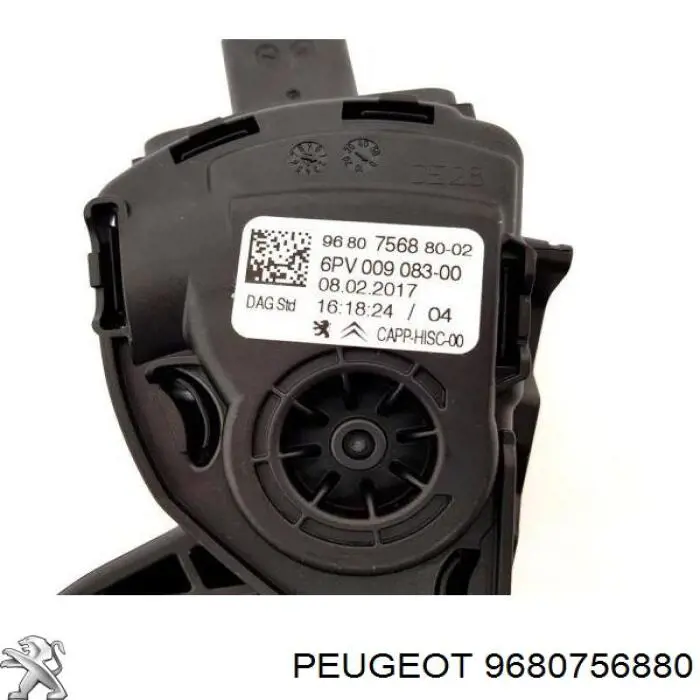 9680756880 Peugeot/Citroen 
