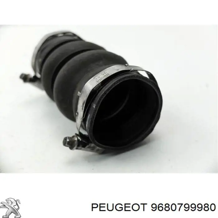  9680799980 Peugeot/Citroen