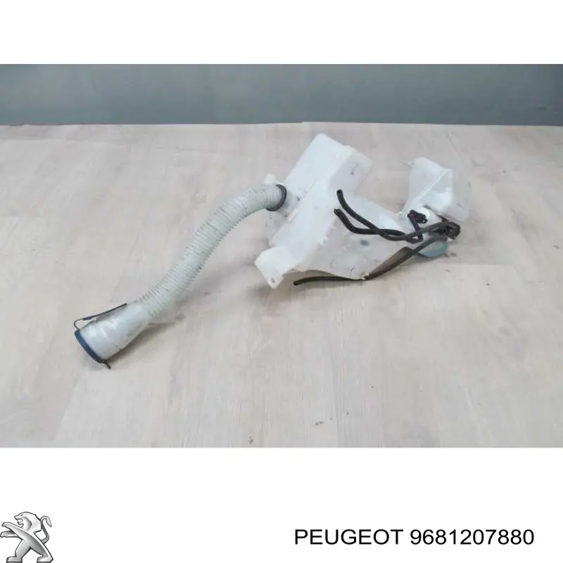 9681207880 Peugeot/Citroen 