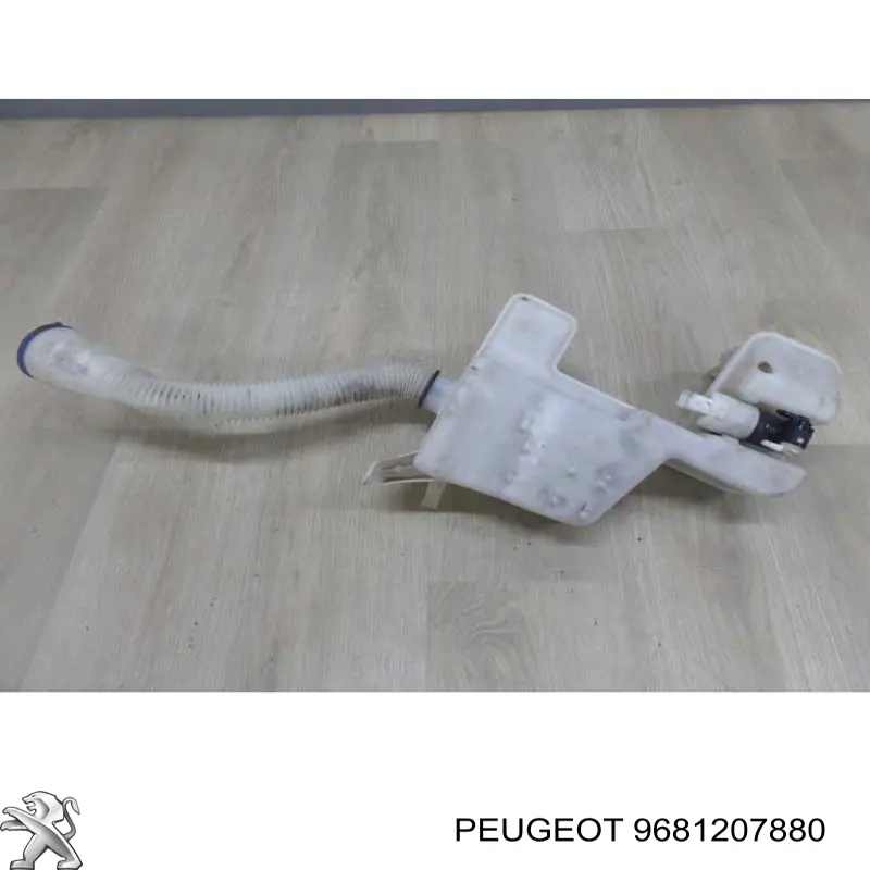 9681207880 Peugeot/Citroen 