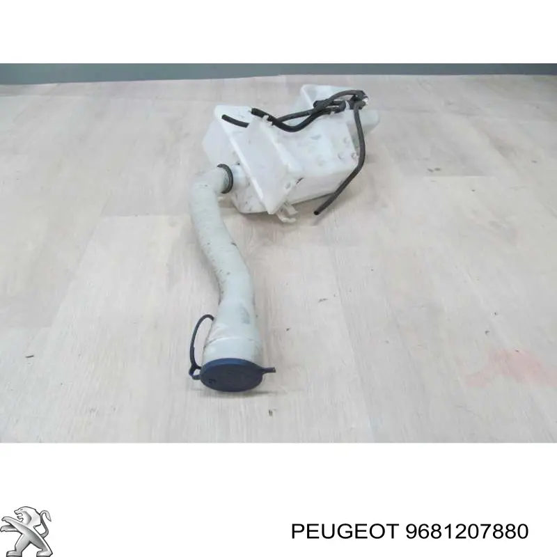 Peugeot/Citroen 9681207880