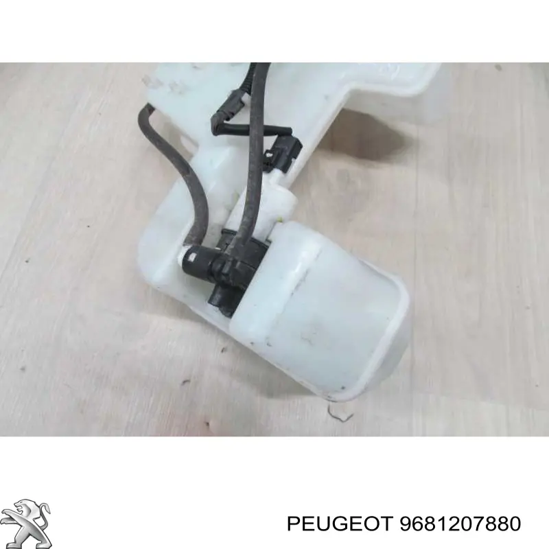 Compre 9681207880 Peugeot/Citroen 
