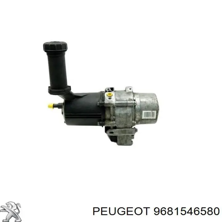 9681546580 Peugeot/Citroen 