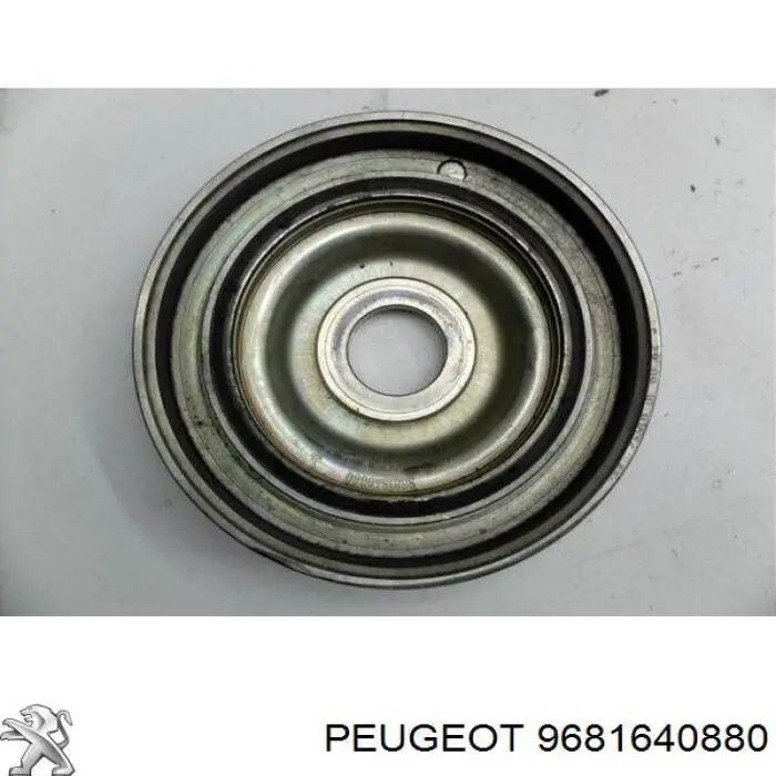 9681640880 Peugeot/Citroen Polia de cambota